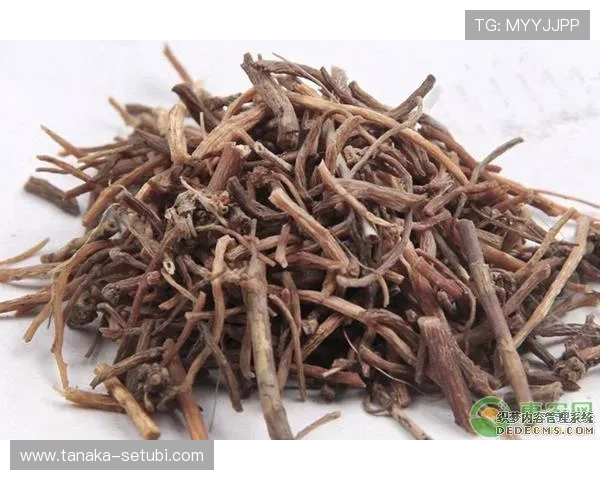 凯发体育app首页在哪里可以了解平台的全部功能和使用指南